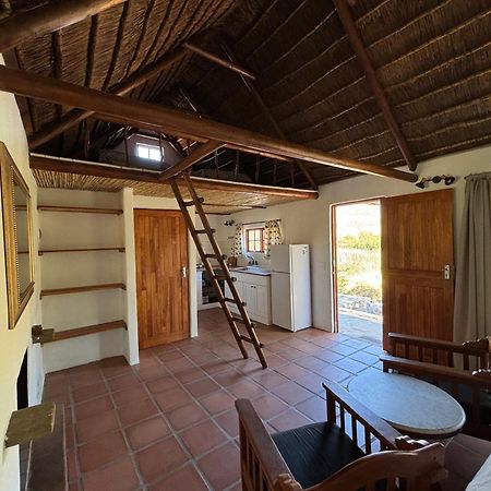 Enjo Nature Farm Clanwilliam Esterno foto