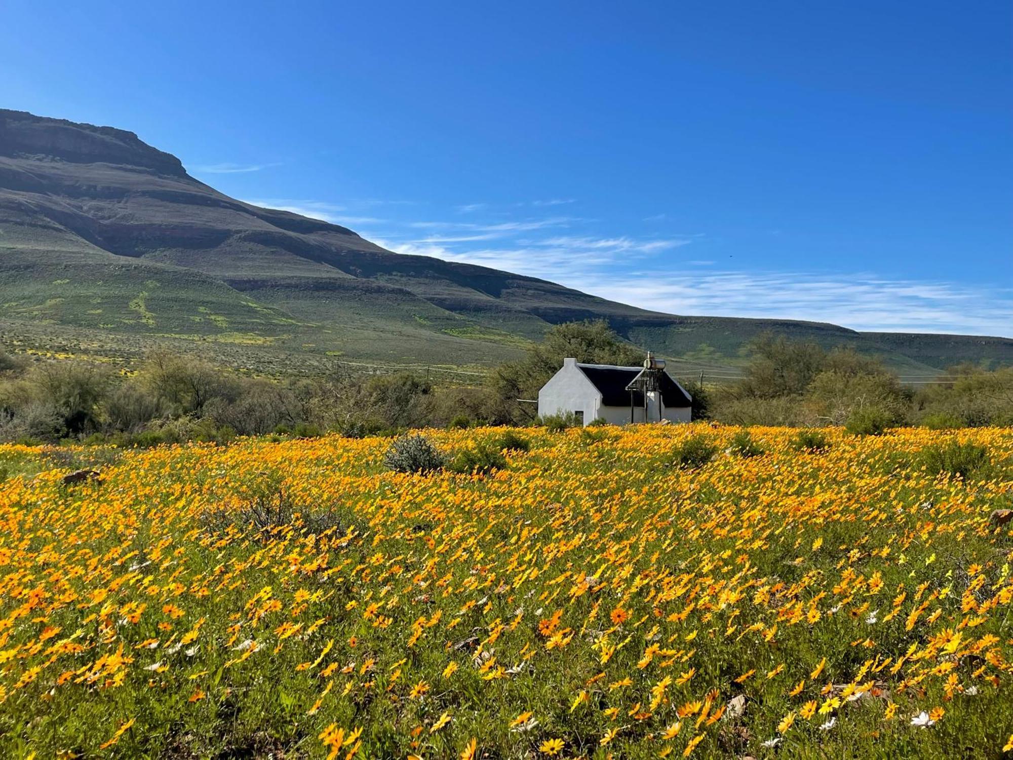 Enjo Nature Farm Clanwilliam Esterno foto
