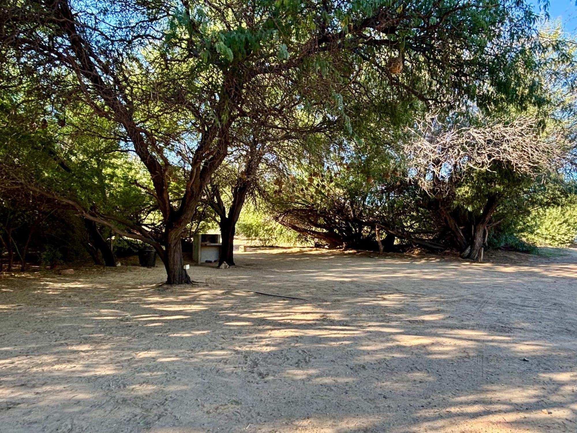 Enjo Nature Farm Clanwilliam Esterno foto