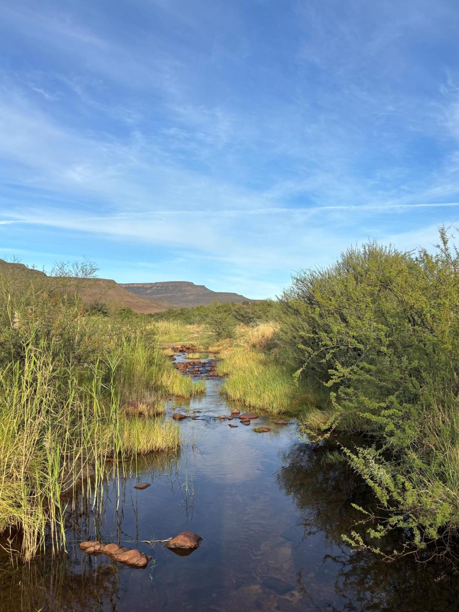 Enjo Nature Farm Clanwilliam Esterno foto