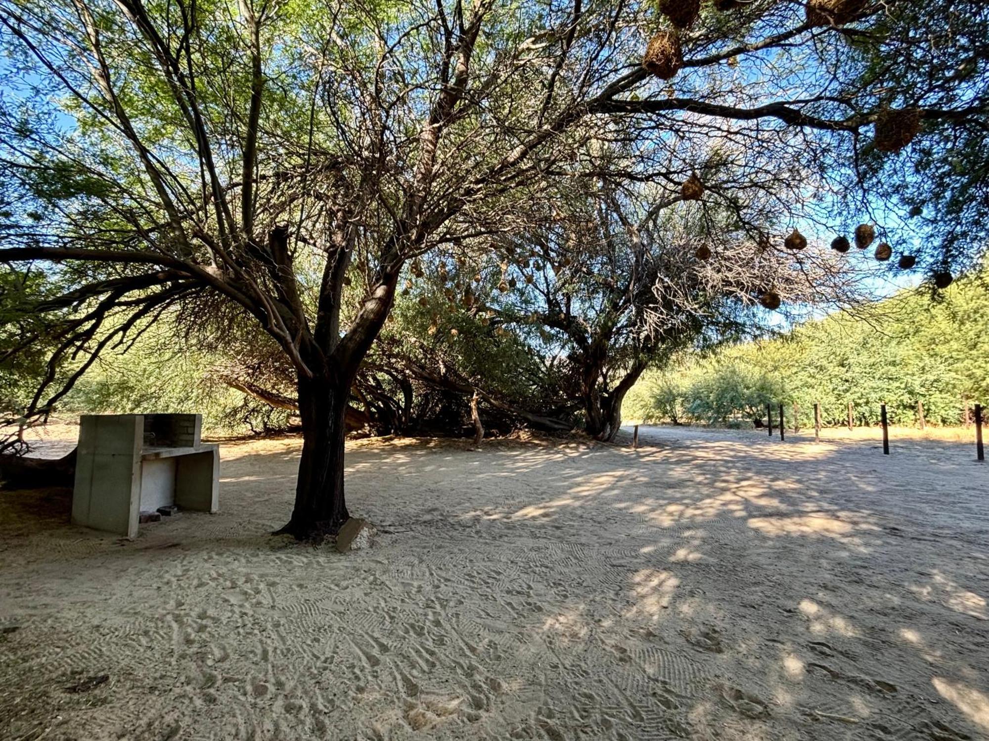 Enjo Nature Farm Clanwilliam Esterno foto