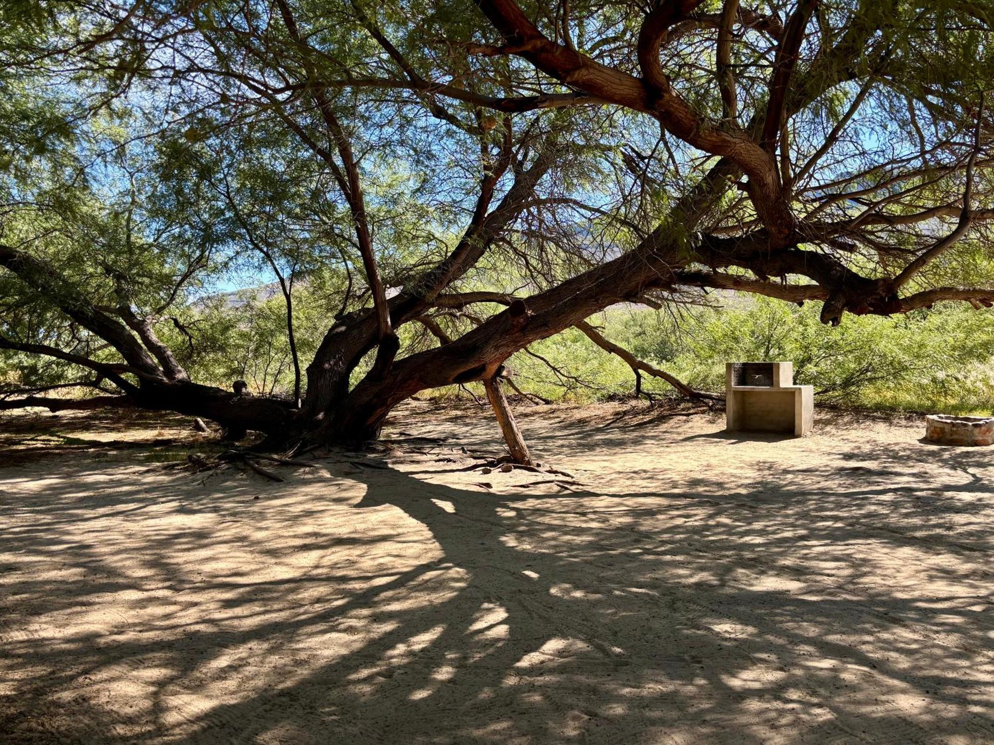 Enjo Nature Farm Clanwilliam Esterno foto