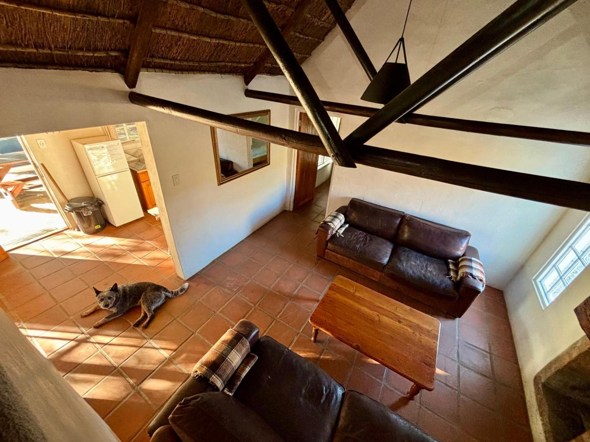 Enjo Nature Farm Clanwilliam Esterno foto